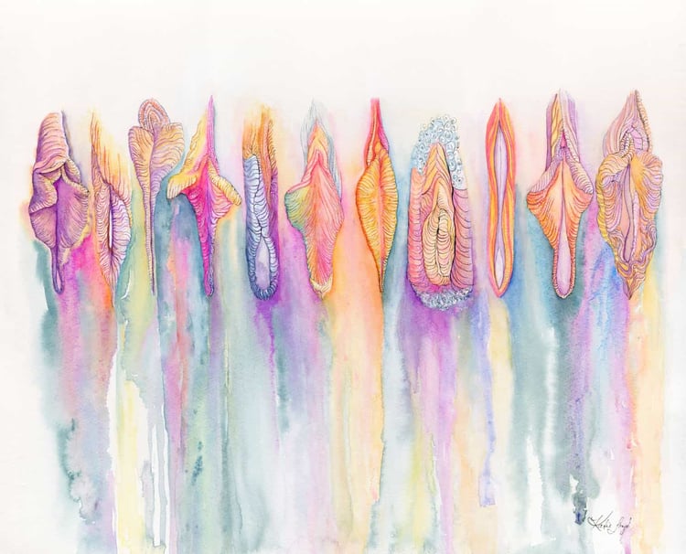 Rainbow coloured vulvas painted in watercolour showing the difference of our bodies